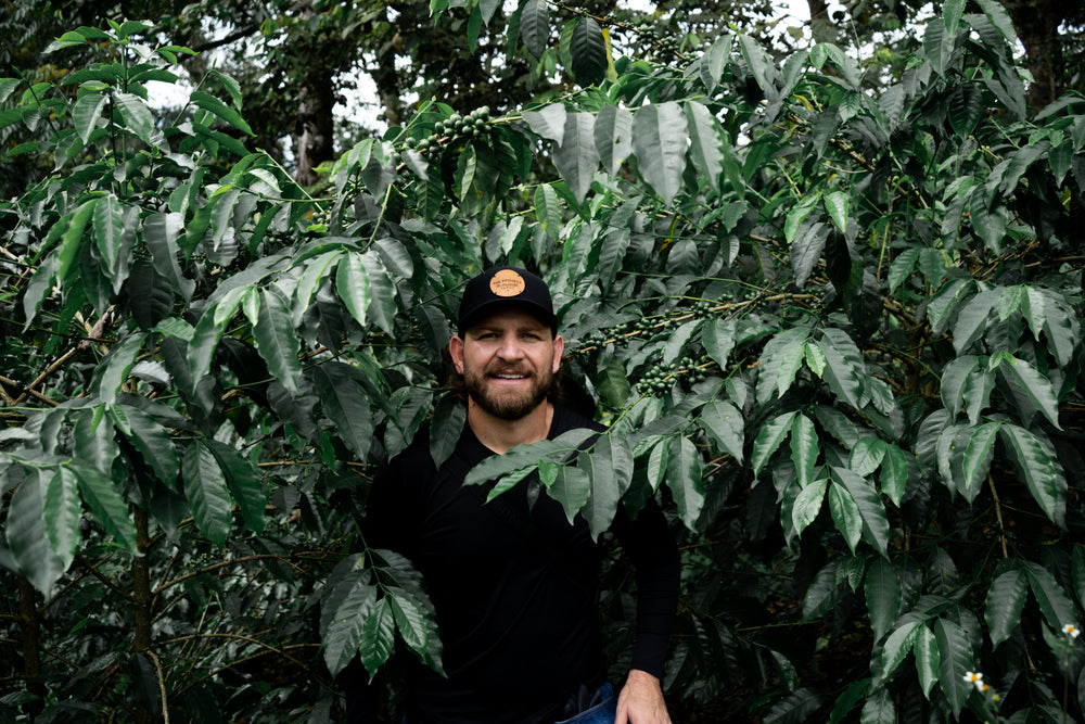 Pink Bourbon - Sebastian Ramirez