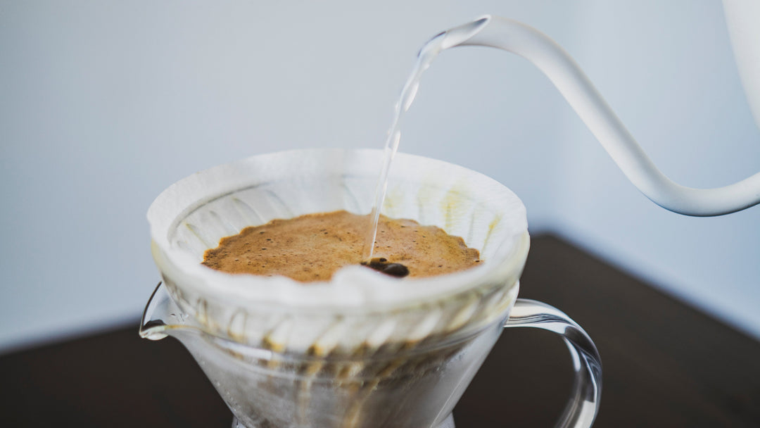 V60 Paper Filter for 02 Size Dripper